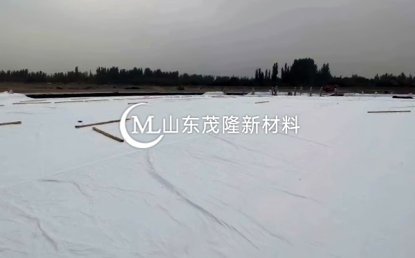 《中國石化庫車商儲庫工程》土工膜、土工布施工  第5張